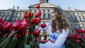 Das Ende des Tulpenwahns