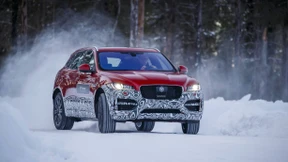 Ein Jaguar, wie es ihn noch nie gab