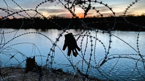 „Migranten drücken Amerikas Verbrechensrate“