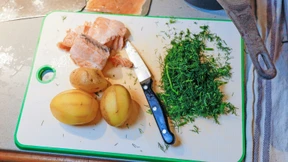 Wie Lebensmittel am besten vor Keimen geschützt werden