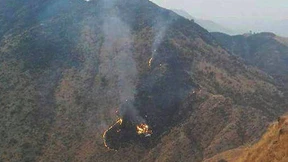 Passagierflugzeug in Pakistan abgestürzt