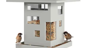 Hippes Federvieh in Turnschuhen