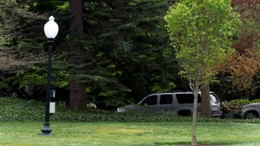 Wo ist Macrons Baum?