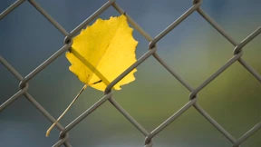 Offenbach will Grenze zu Frankfurt korrigieren