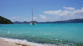 Ab in die Steueroase