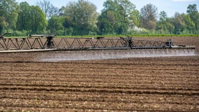 Schluss mit den Pestiziden