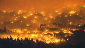 Feuer im kalifornischen Yosemite Nationalpark