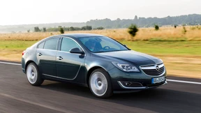 Ein genügsamer Brummbär