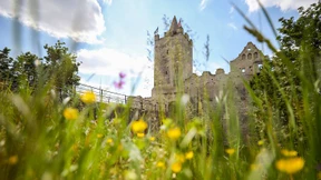 Ein bisschen Einheit