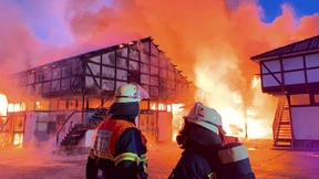 Mehrere Pferde sterben bei Reitstall-Brand