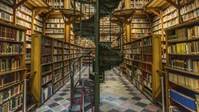 Was das Tolle an Bibliotheken ist