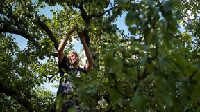 Der Mann, der für das Comeback der Birne kämpft