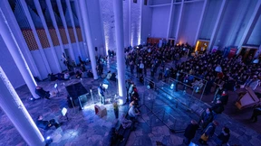 Bienenschwarm liebt Klassik