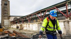 Wo sich die Eidechsen paaren