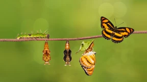 Anpassen an die digitalisierte Welt