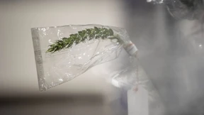 Die Hoffnung der Bio-Revolution