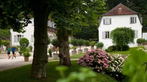 Roter Riesling unterm Mammutbaum