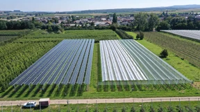 Ein Pionierprojekt am Weinberg