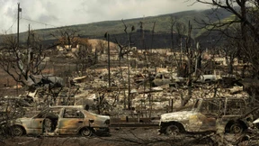 Zahl der Toten auf Maui steigt auf 99