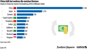 Welche Länder horten die meiste Fremdwährung?