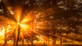 Wie das Licht seinen Weg in die Köpfe findet