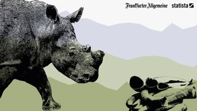 Der Handel mit wilden Tieren boomt