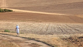 Wie Landwirte gegen die Dürre aufrüsten