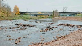 Natur holt sich das Sossenheimer Wehr zurück