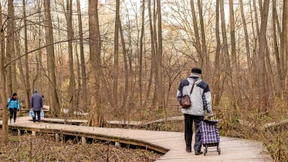 Zum Wasserholen in den Wald