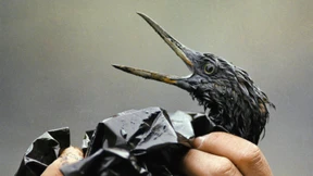 Mit Moral aus der Klimakrise?