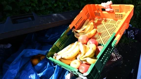 Özdemir will Containern straffrei stellen