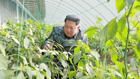 Hungern für Kims Raketen