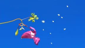 Pflanzen von der Liste