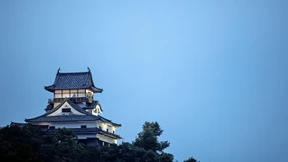 Schwerter zu Ikebana