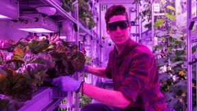 Die Hightech-Gemüsekiste