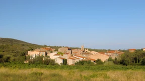 Liebe auf den ersten Schluck 