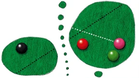 Am grünen  Tisch eine ruhige  Kugel schieben