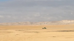 In der Wüste wächst was