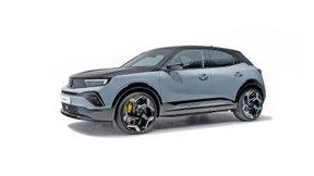 Wald und Wiesen Wiesel