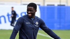 Die schnellste Maus vom Böllenfalltor