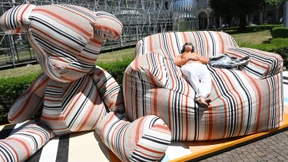 Süßer kleiner Schweinehund