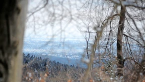Scheitert der Windpark auf dem Taunuskamm?