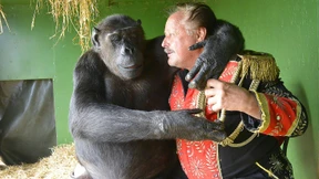 Vom Sinn und Unsinn der Vermenschlichung von Tieren