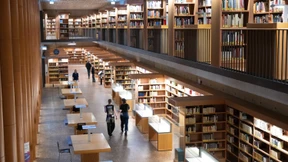 Studieren für eine Zukunft, die es bald vielleicht nicht mehr gibt