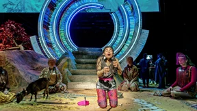 Kommt eine Ziege zu Einstein an den Strand