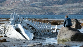 Die Wahrheit des heutigen Tages