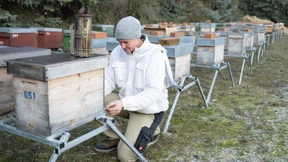 Jetzt beginnt das Ganze von vorn