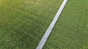 Werden Sie Entwickler von Künstlicher Dummheit!