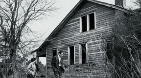 Wer die Nachtigall sucht, findet eine Spottdrossel