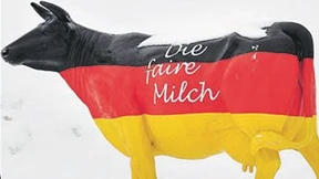 Qatar, ein Wintermärchen